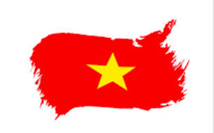 Online, skype kurzy vietnamčiny cez internet (e-learning)